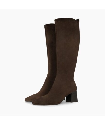 HALBOR ANTELINA TESTA/NAPA TESTA LODI